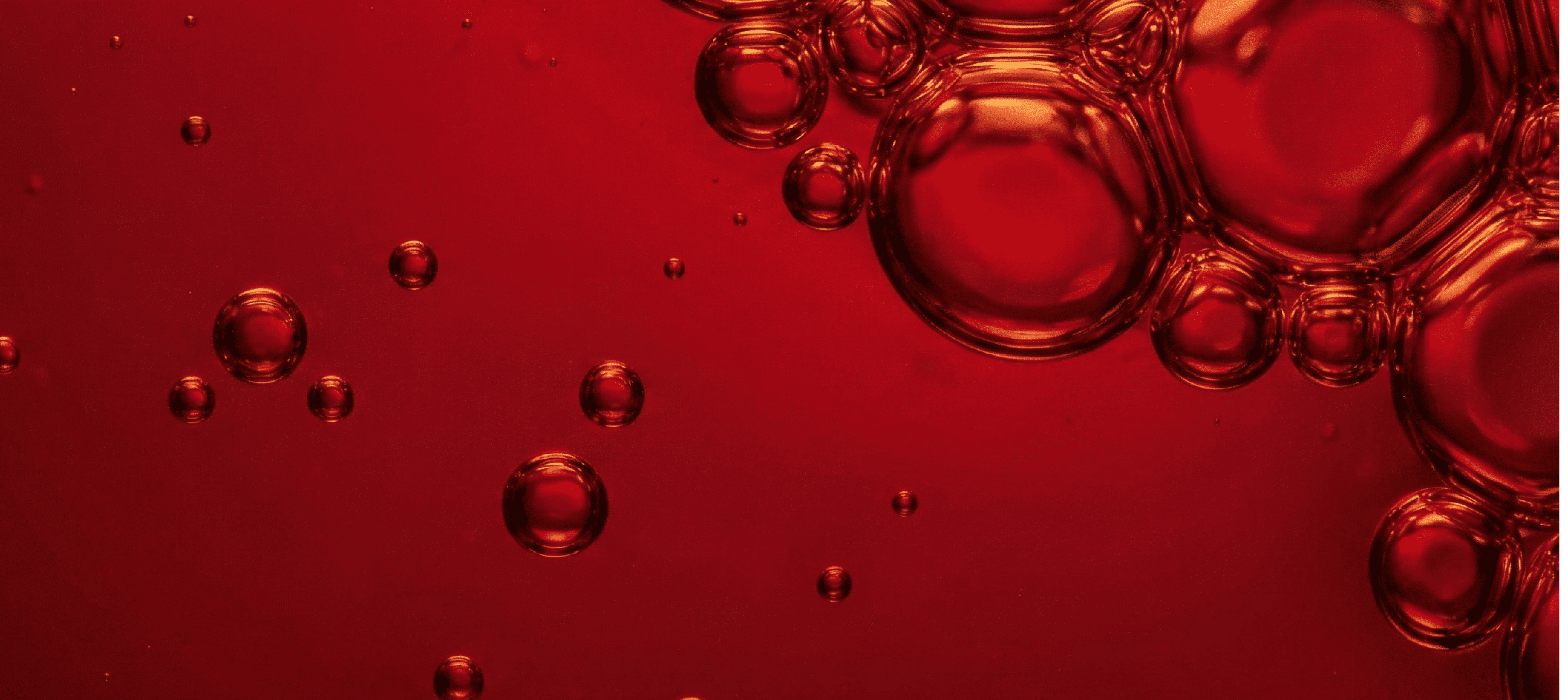 Visualization of strains and relative abundance